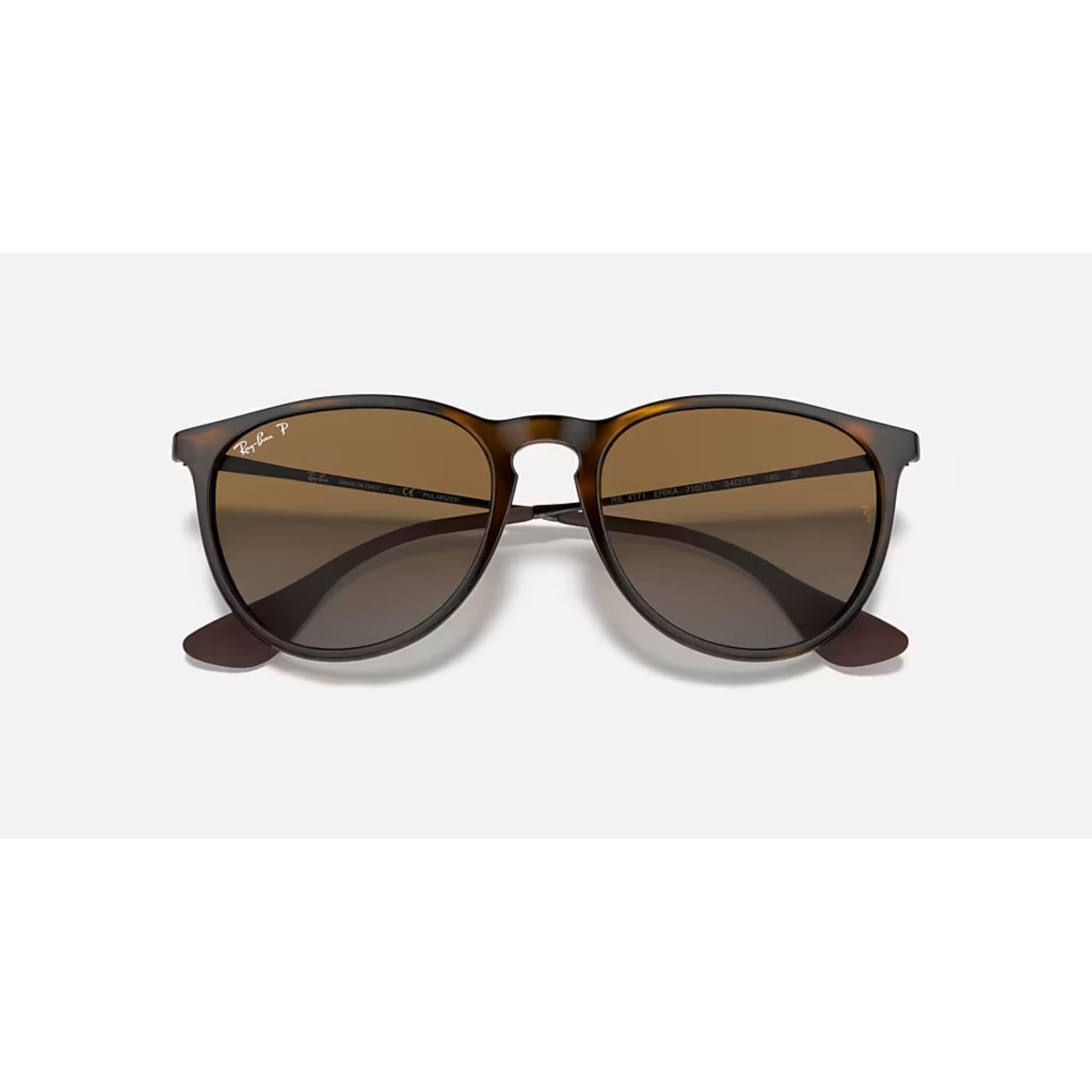 Ray Ban Erika Sunglasses