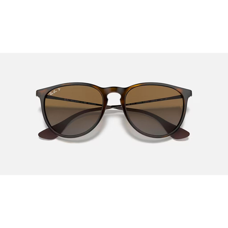 Ray Ban Erika Sunglasses