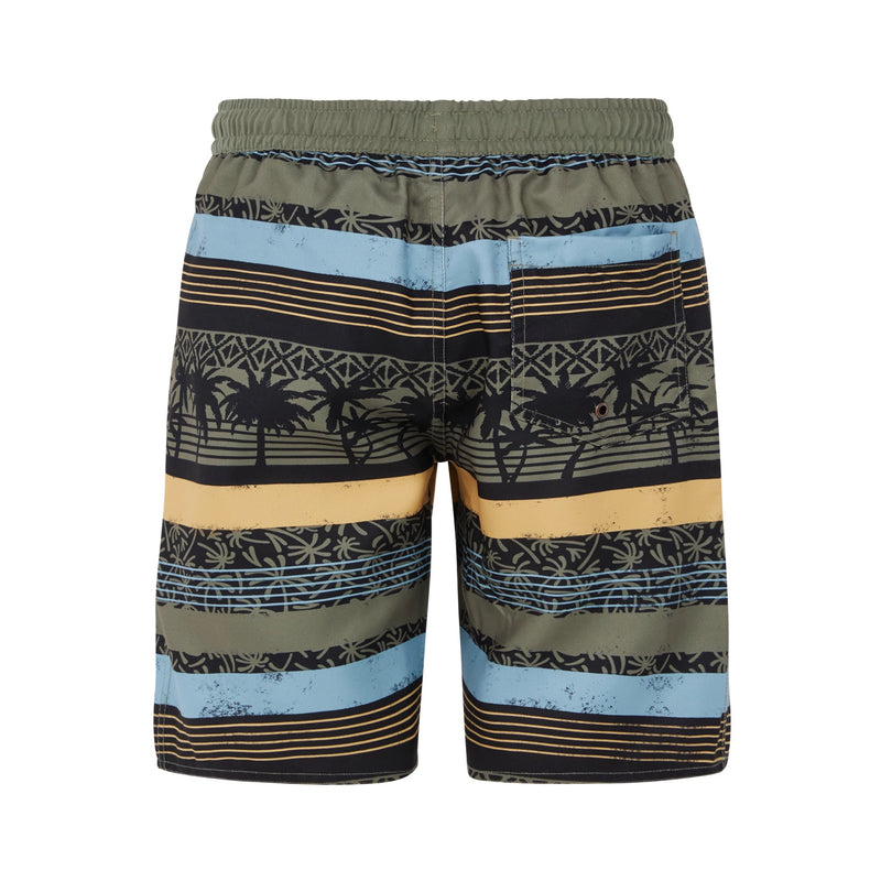 Protest PRT.Frisby Jr Boardshort