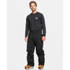 Quiksilver Porter Snow Pant