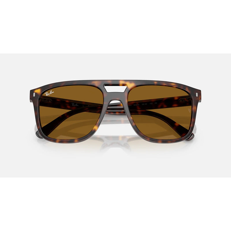 Ray Ban RB2213 Sunglasses w/Brown Lens