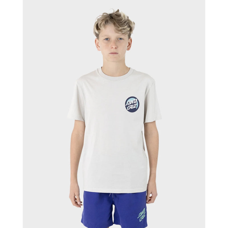 Santa Cruz Boys OS Bold Shadow Dot Tee