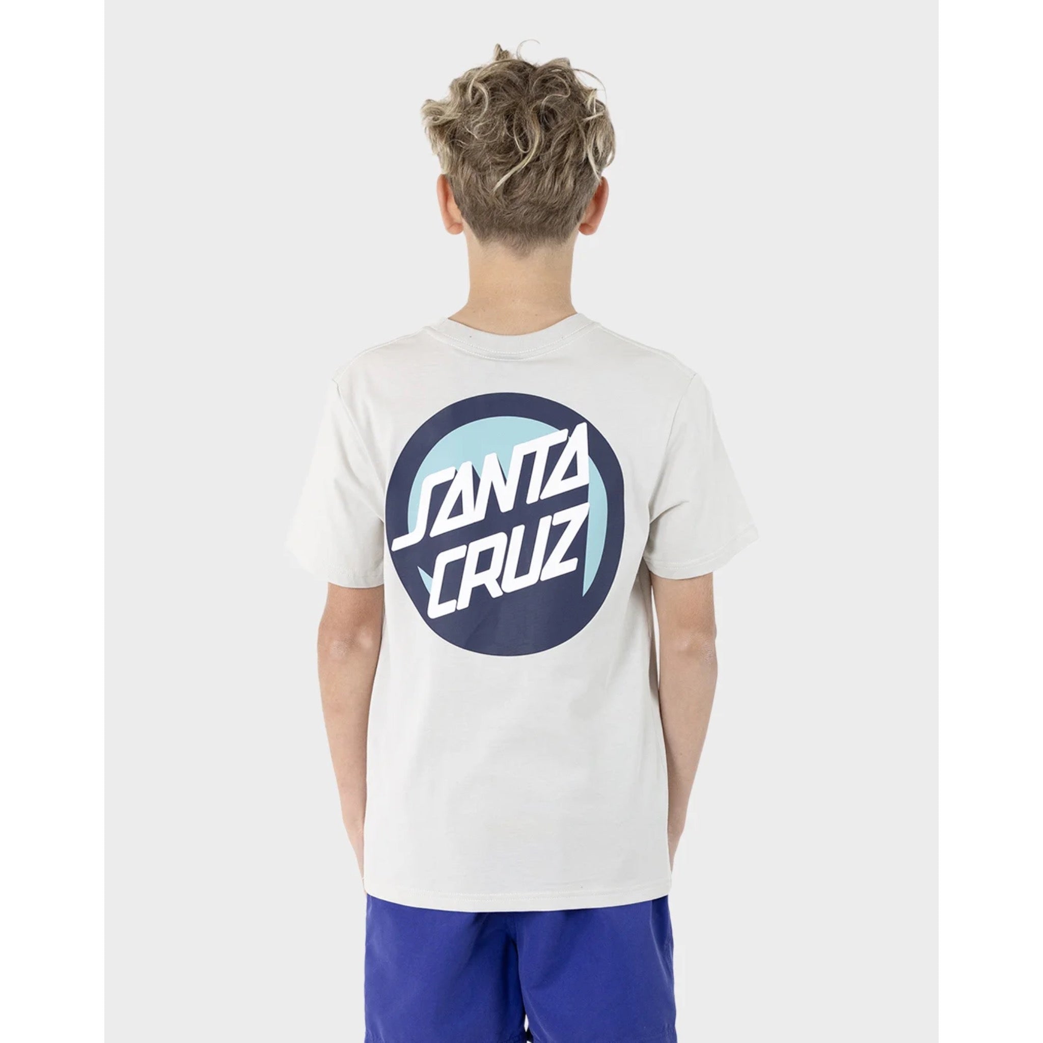 Santa Cruz Boys OS Bold Shadow Dot Tee